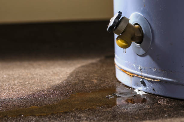 Best Water damage mitigation services  in Centereach, NY