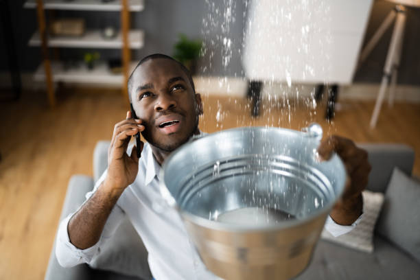 Best Sewage cleanup and water damage restoration  in Centereach, NY