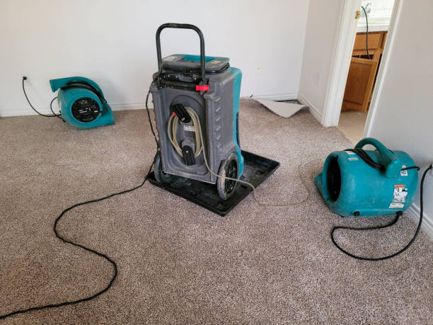 Best Water damage mitigation services  in Centereach, NY