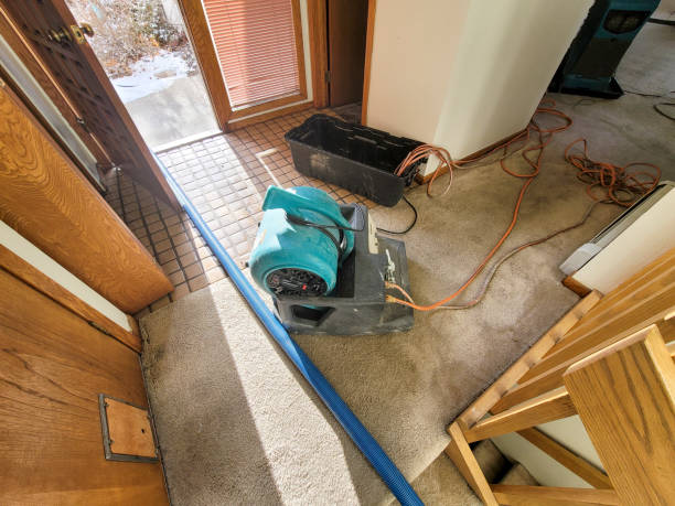 Reliable NY Water damage restoration Solutions