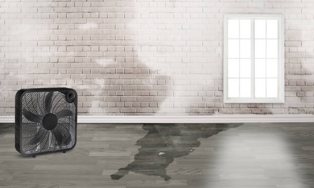 Best Emergency water damage restoration  in Centereach, NY