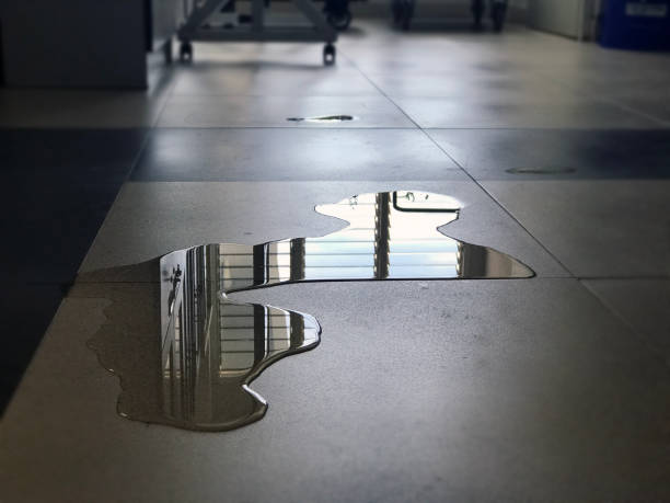 Best 24-hour water damage restoration  in Centereach, NY