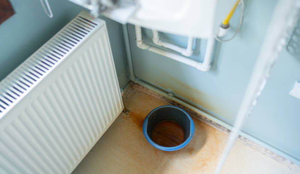 Centereach, NY Water damage restoration Pros