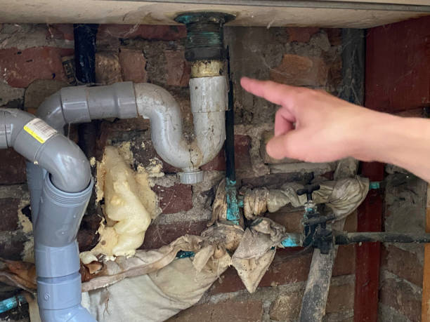 Best Flood damage cleanup  in Centereach, NY