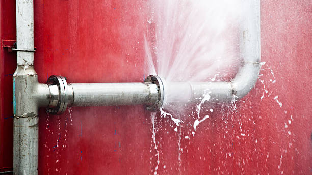 Best Basement water damage restoration  in Centereach, NY